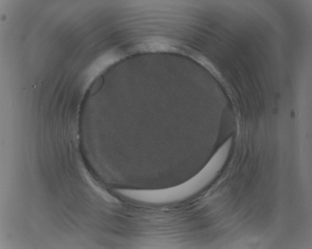 X0000067900438200604271856