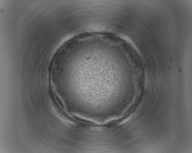 X0000067900439200604271856