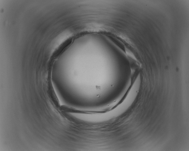 X0000067900440200604271856