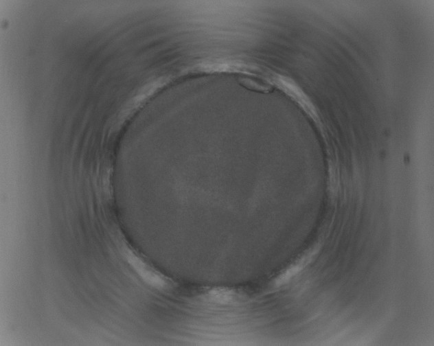 X0000067900441200604271856