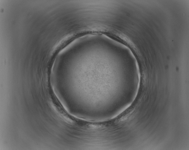 X0000067900442200604271856