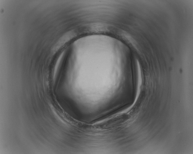 X0000067900443200604271856