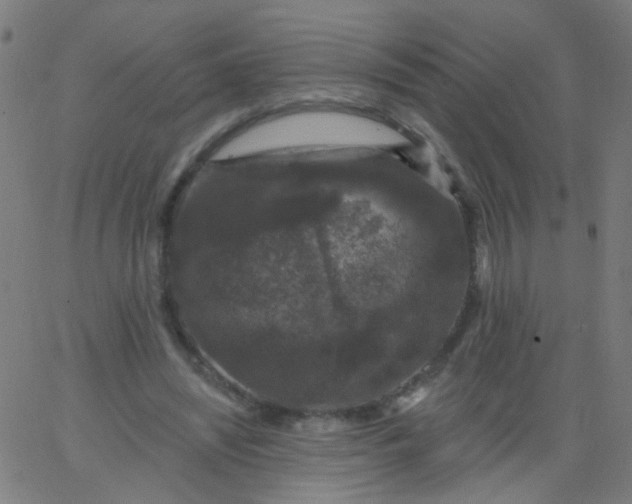 X0000067900444200604271856