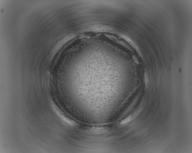 X0000067900445200604271856