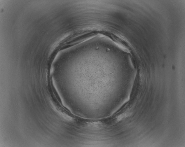 X0000067900446200604271856