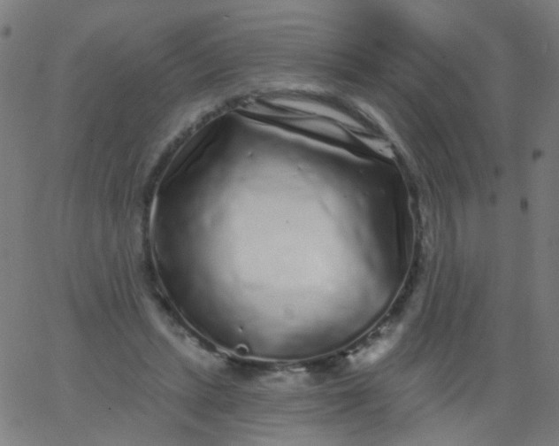 X0000067900447200604271856