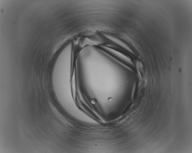 X0000067900448200604271856