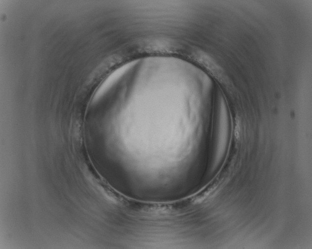 X0000067900449200604271857