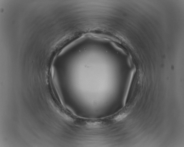 X0000067900450200604271857