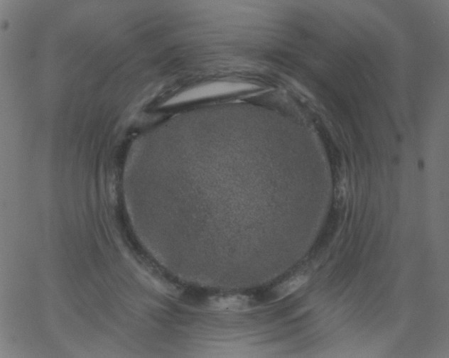 X0000067900452200604271857