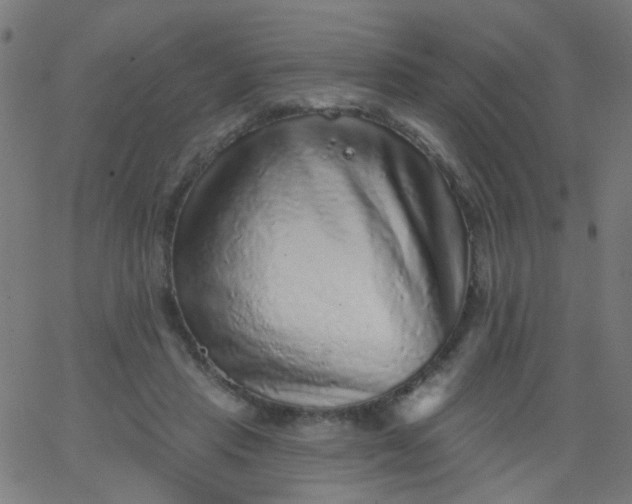 X0000067900453200604271857