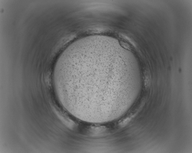 X0000067900455200604271857