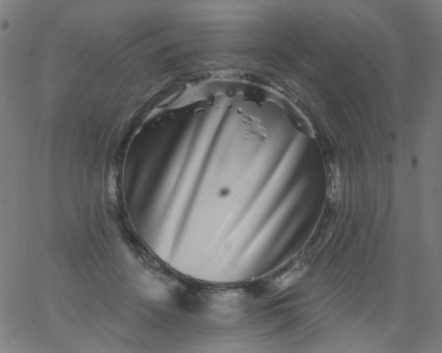 X0000067900456200604271857