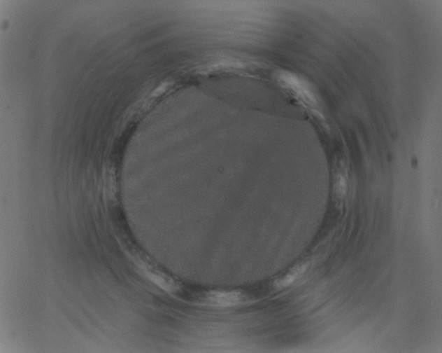 X0000067900457200604271857