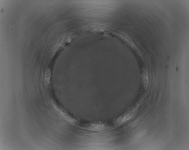 X0000067900458200604271857