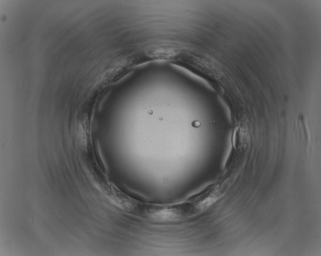 X0000067900460200604271857