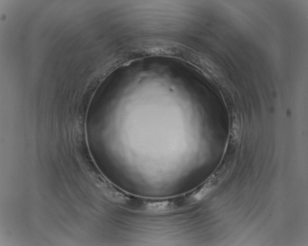 X0000067900461200604271857