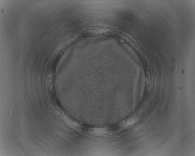 X0000067900462200604271857