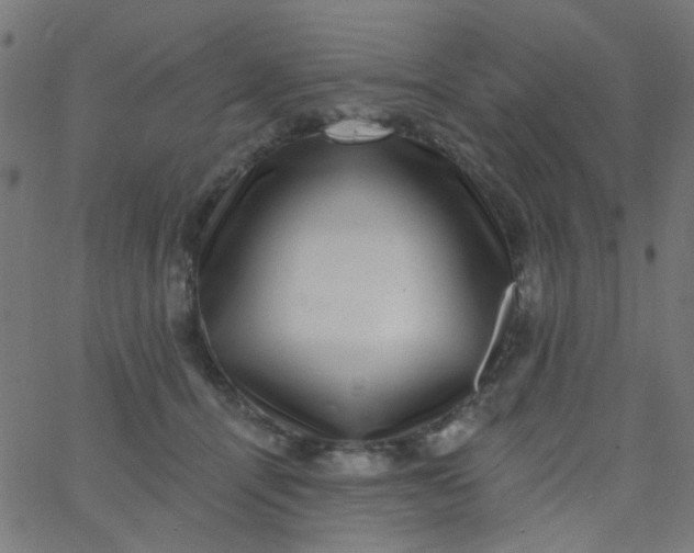 X0000067900464200604271857