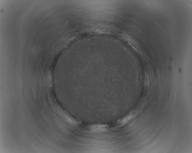 X0000067900465200604271857