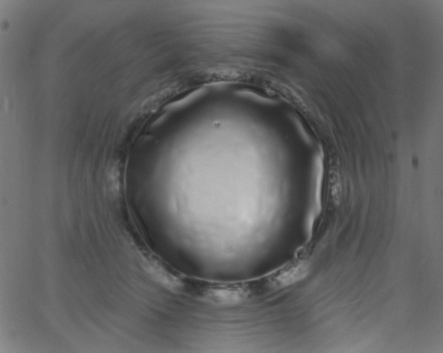 X0000067900466200604271857