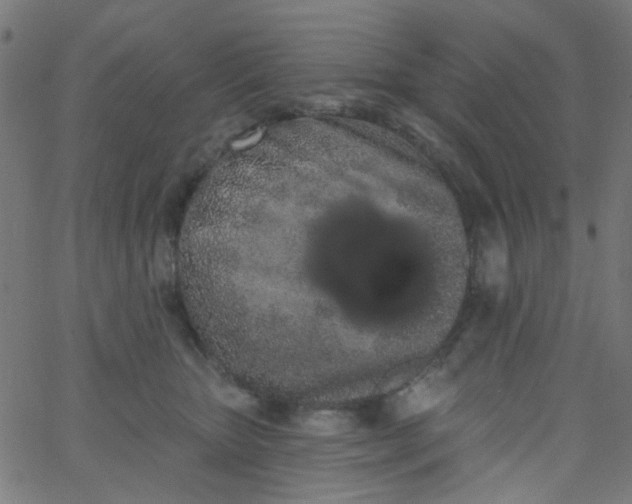 X0000067900467200604271857