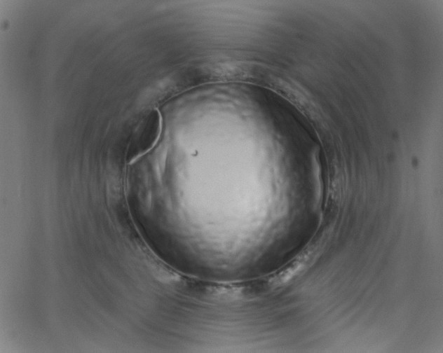 X0000067900469200604271857