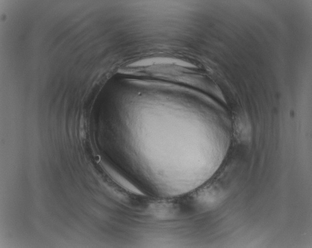 X0000067900470200604271857