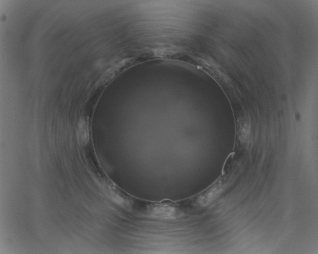 X0000067900471200604271857