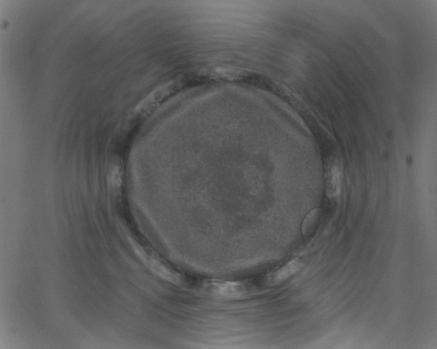 X0000067900472200604271857