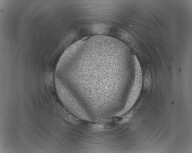 X0000067900473200604271857