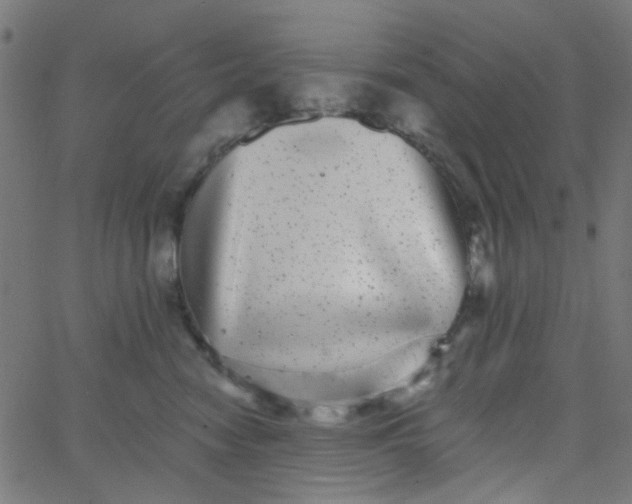 X0000067900474200604271857