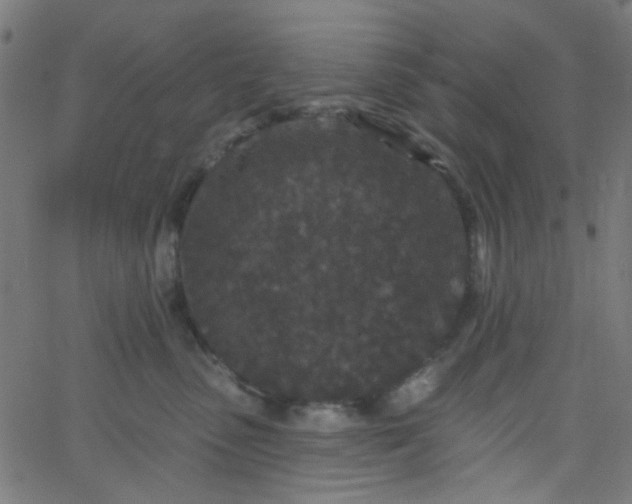 X0000067900475200604271857