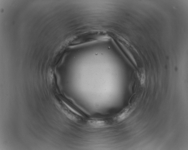 X0000067900476200604271857