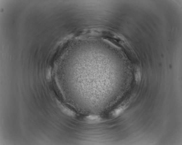 X0000067900477200604271857