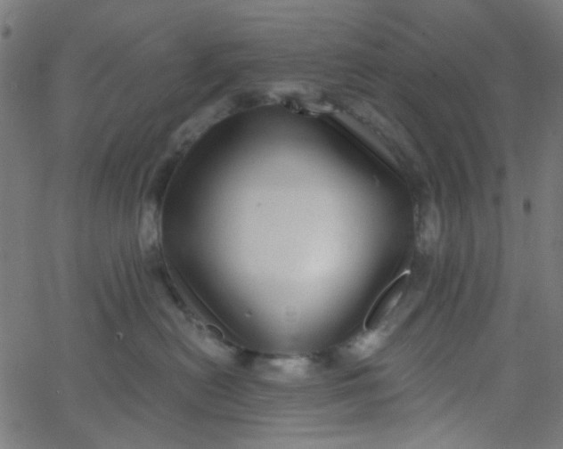 X0000067900478200604271857