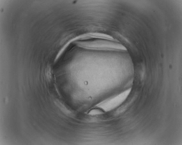 X0000067900479200604271857