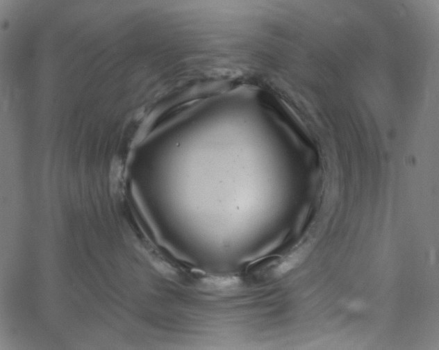 X0000067900480200604271857