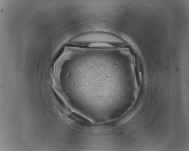 X0000067900481200604271856