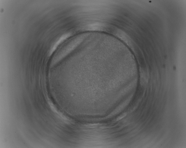 X0000067900482200604271856