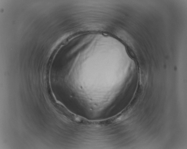 X0000067900483200604271856