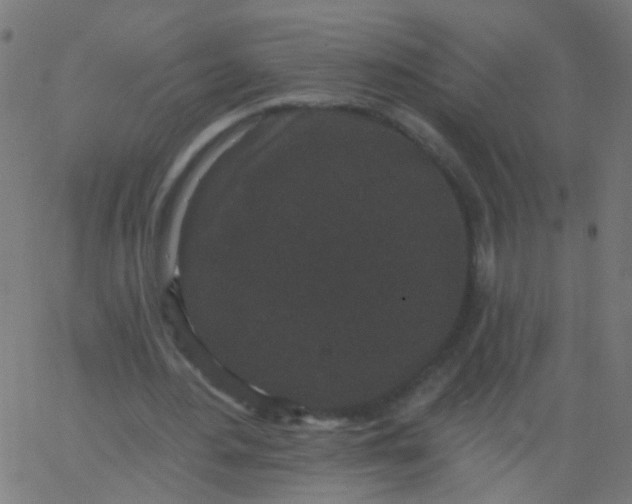 X0000067900484200604271856