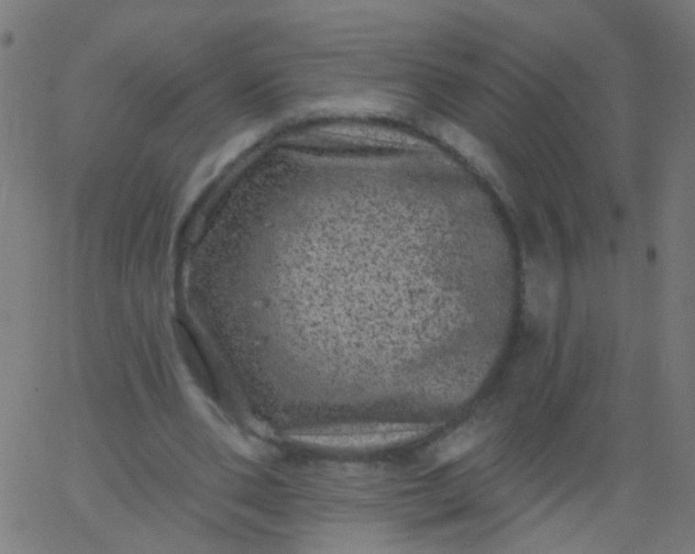 X0000067900486200604271856