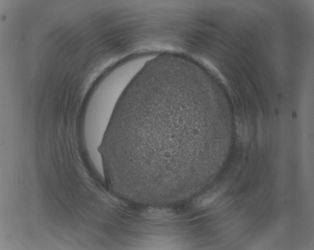 X0000067900487200604271856