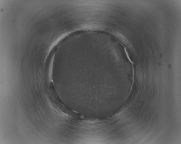 X0000067900488200604271856