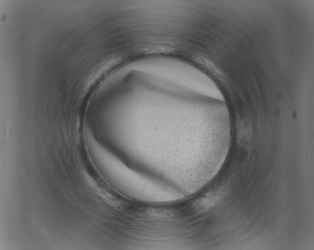 X0000067900490200604271856