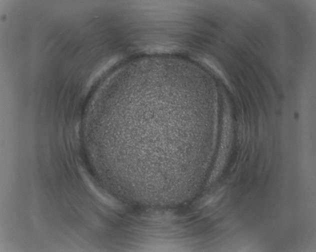 X0000067900491200604271856