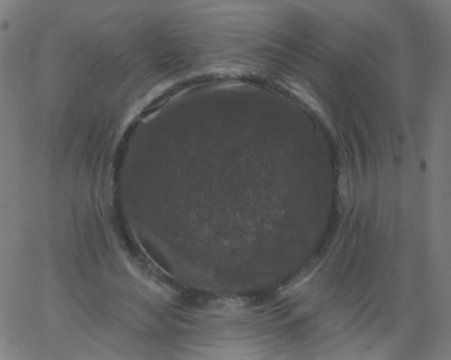 X0000067900492200604271856