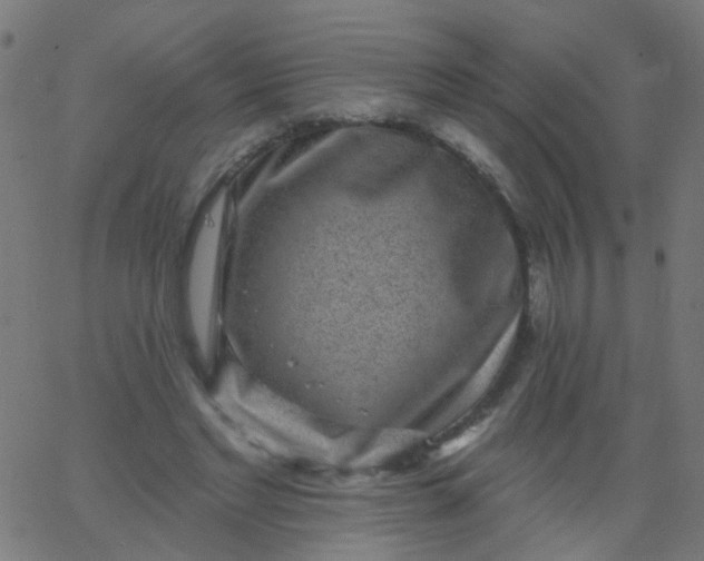 X0000067900493200604271856