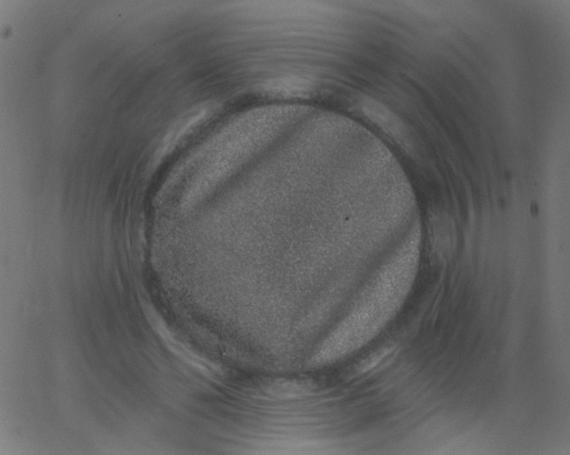 X0000067900494200604271856